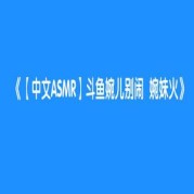 婉儿别闹：重新定义下载效率的数字新体验