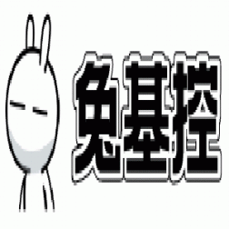 cc恩雅至尊版：奢华座舱的巅峰之作