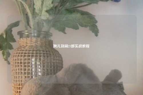 婉儿别闹21部实战教程