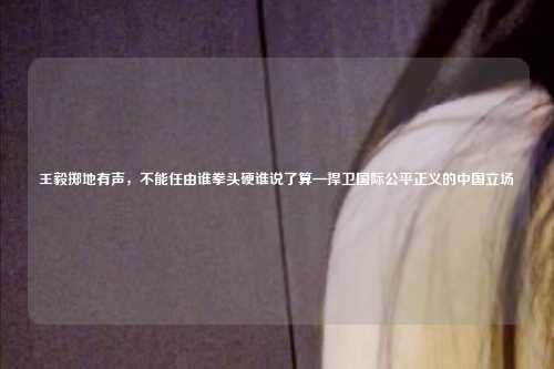 王毅掷地有声,不能任由谁拳头硬谁说了算—捍卫国际公平正义的中国立场