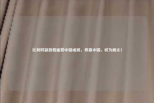 比利时副首相盛赞中国成就，恭喜中国，叹为观止！