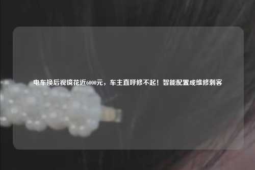 电车换后视镜花近6000元，车主直呼修不起！智能配置成维修刺客