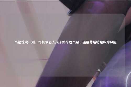 高速惊魂一刻,司机带老人孩子停车看风景,温馨背后暗藏致命风险