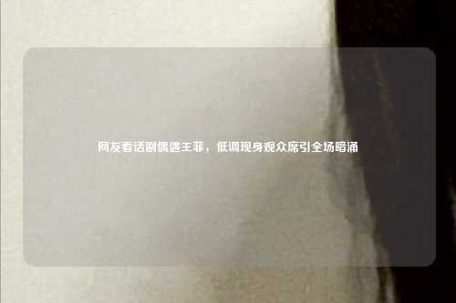 网友看话剧偶遇王菲，低调现身观众席引全场暗涌